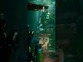 Gundellona Fullscreen Whatsapp Status