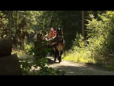 Travel Guide Karlshamn, Sweden - Karlshamn - So very alive