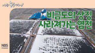 [나는농부다 236회] 비금도의 상징 사라져가는 염전