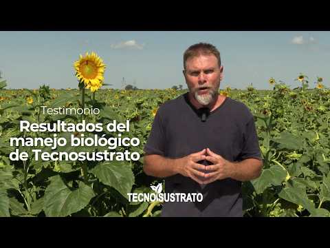 Resultados del manejo biológico de Tecnosustrato | Testimonio productor de Nueva Lehmann (parte 2)