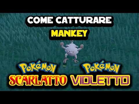 Come catturare Mankey su Pokemon Scarlatto e Violetto