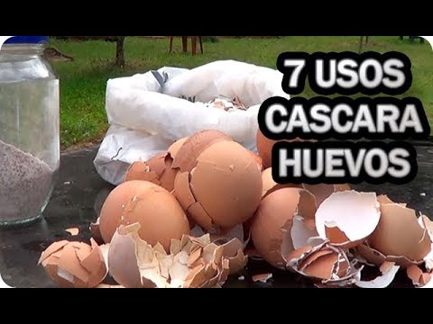 7 Usos De La Cascara De Huevo En El Huerto O Jardin || La Huertina De Toni