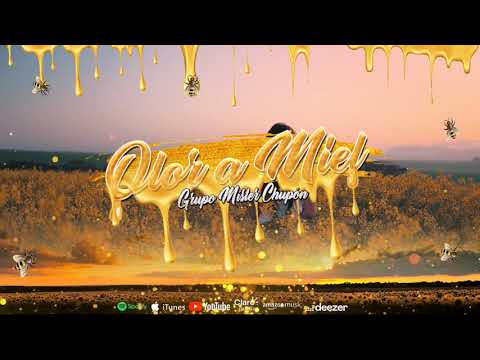Olor a Miel - Grupo Míster Chupón (Lyric Video)