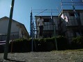Reverse grip 20 Muscle ups+110 Push ups+Reverse grip 10 Muscle ups