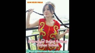 Download lagu 5 Karungut Dayak Kalteng Pilihan Terbaik! mp3