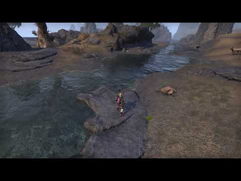 ESO Voriplasm pet is afraid of water