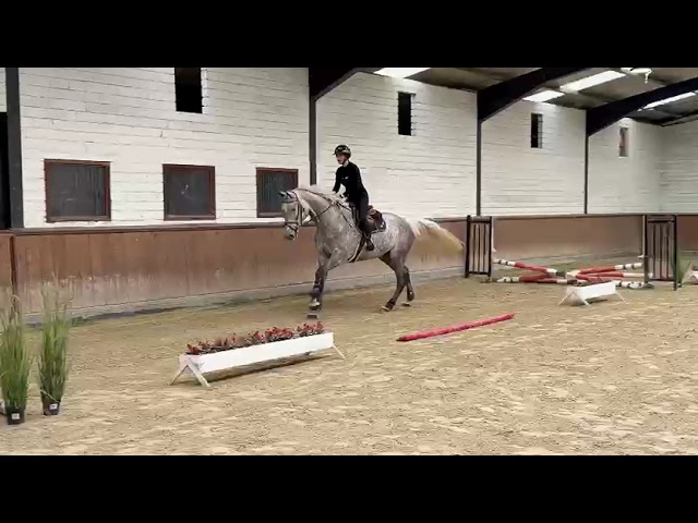 Under the saddle