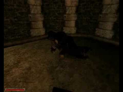 Gothic - Uczeń Xardasa