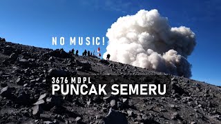 Download lagu PUNCAK SEMERU MAHAMERU (Kalimati ke Puncak Mahameru) | Pendakian Gunung Semeru mp3 Download lagu PUNCAK SEMERU MAHAMERU (Kalimati ke Puncak Mahameru) | Pendakian Gunung Semeru mp3