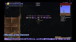 Terraria Calamity infernum ジャーニー×2.95倍を2週目プレイ 【ゆっくり実況】