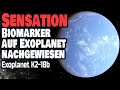 Sensation - Biomarker auf Exoplanet nachgewiesen - K2-18b