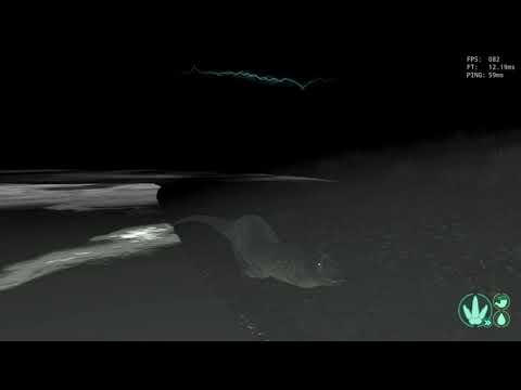 Terrors Of The Night - Allo vs Dilos - The Isle Legacy