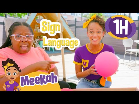 How to Sign Helpaid, Assistāwhinaverb in NZSL