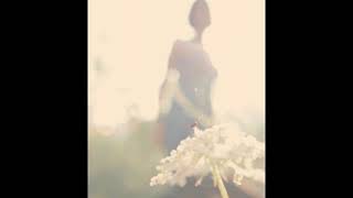 Midlake – We Gathered in Spring