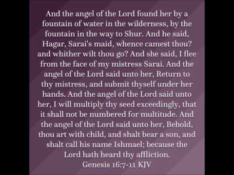 Genesis 16 Summary