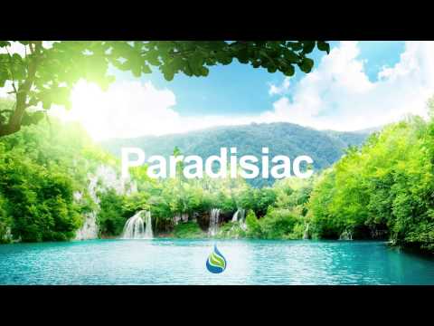 Tranquility Bass - Cantamilla