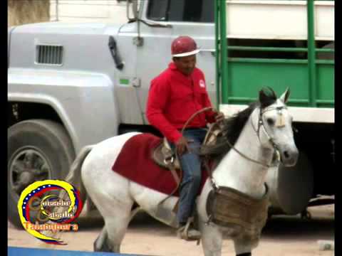 Cheo Hernandez Prisco El Chinchorrito