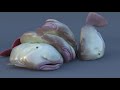 Leiss Postproduction SHOWREEL 2018