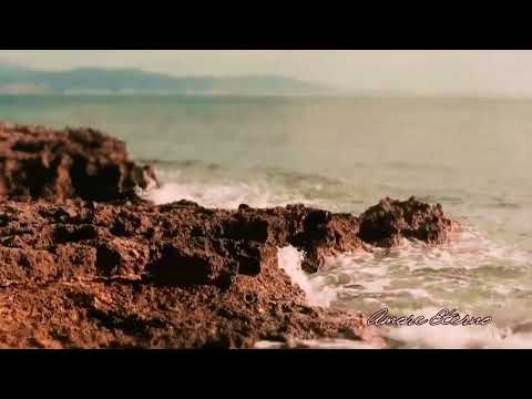 ROSY VALENÇA - Se Quer Me Namorar