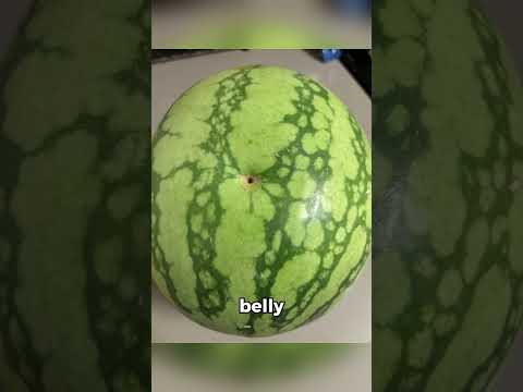 Crazy Rare Photos - Part 13