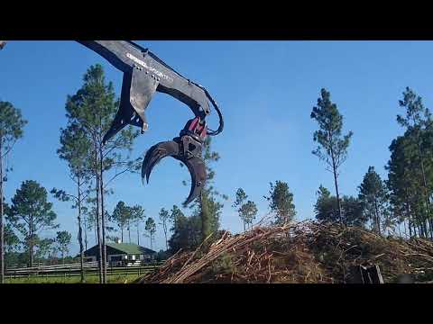 Logging,de branching trees and cutting to fit log truck