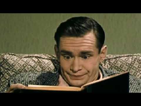 Starcadian - Culture (Official Music Video)