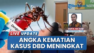Angka Kematian Kasus DBD Meningkat, 15 Pasien Meninggal di RSI Sunan Kudus dalam 6 Bulan Terakhir