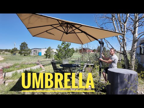 Watch Before You Buy A Patio Umbrella - Purple Leaf Umbrella!