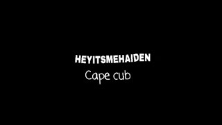 Cape cub - All I need lyric video