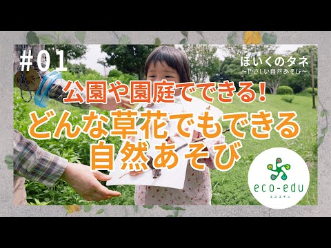 秋の庭で子供と一緒に何をしましょうか？楽しく教育的な活動を通じて職場の意識を高めてみましょう。  庭園