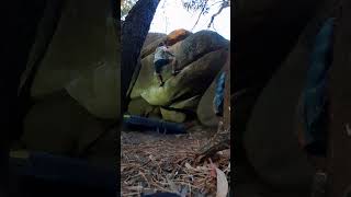 Video thumbnail of Éden Traverse, 6c+. Sintra