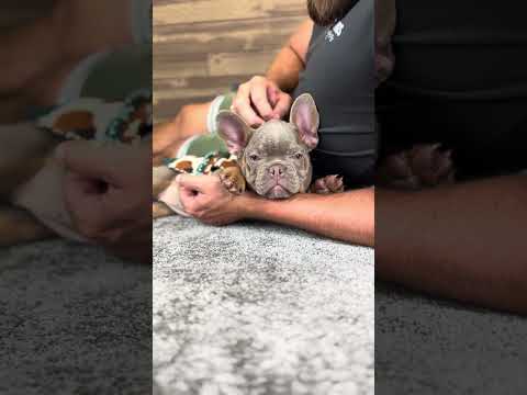 Video 3
