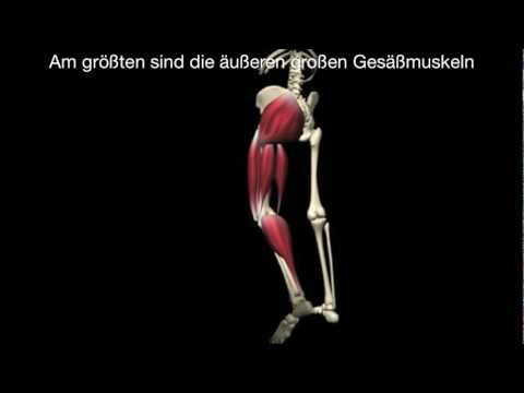 Schmerzen im Nacken und den linken Arm Schmerzen im Nacken wird nach hinten geneigt