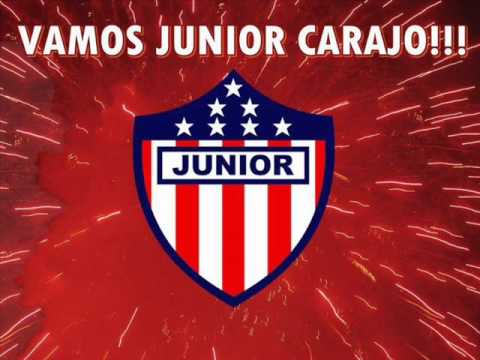 "borracho y loco por el junior - FRBS" Barra: Frente Rojiblanco Sur • Club: Junior de Barranquilla
