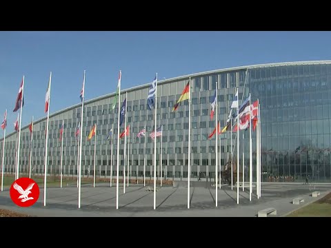 Live: Nato secretary general meets US envoy for Ukraine and Russia as Trump pushes for peace deal