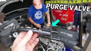 PURGE VALVE LOCATION REPLACEMENT 2.4 CHRYSLER 200, RAM PROMASTER CITY, FIAT 500X 500 TORO