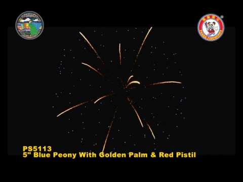 SC125PE11 - 5 INCH SHELL - WIZARD FIREWORKS - PS5113