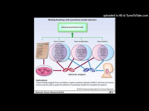 Head and neck squamous cell carcinoma (HNSCC) : Genomic alterations involving the cell cycle (TP53,