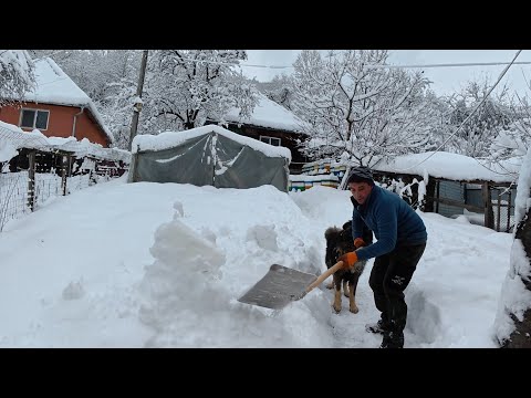 A Quiet Day in a Carpathian Village  -  Simple Winter Life in the Mountains