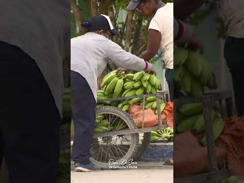 Así despierta Soplaviento Bolívar.