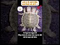 विष्णु भगवान कूर्मासन अवतार #vishnu #vishnumantra #vishnupuran