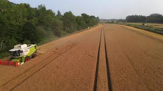 Wheat harvest 2021 Hokkaido part2