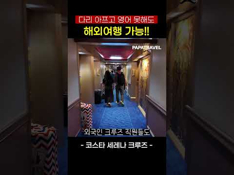 크루즈 여행: 안심하고 즐길 수 있는 부모님을 위한 특별한 경험