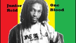 Junior Reid ~ One Blood (Live with lyrics/c.c.)