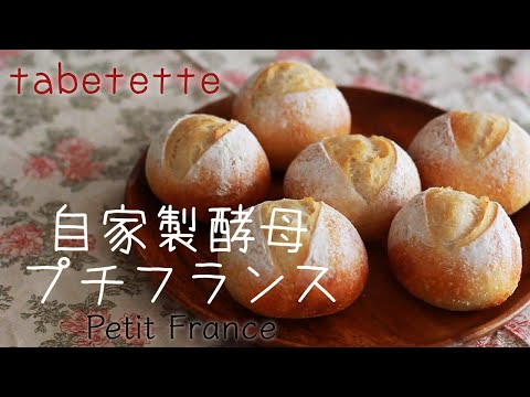 Levadura casera Petit France Recomendada para la primera elaboración de pan Levadura natural Petit France