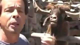 Download lagu Kata baba idul fitri mp3