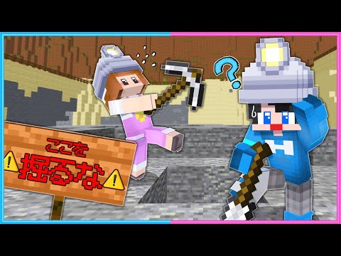 掘ってはいけない場所を掘った結果…【 マイクラ 】