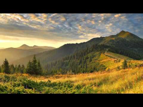 Paul van Dyk feat. Austin Leeds - Verano (Album Edit)