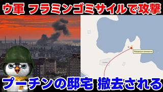 【ペンギン閣下】フラミンゴミサイルで軍需工場攻撃：プーチンの家をひっそり撤去【国際情勢】
