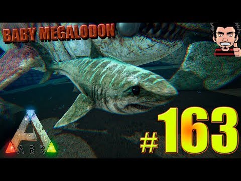 ARK BABY MEGALODON STYRACOSAURUS STYGIMOLOCH BREEDING AND TAMING DAY SURVIVAL EVOLVED GAMEPLAY SP...